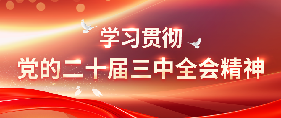 学习贯彻党的二十届三中全会精神