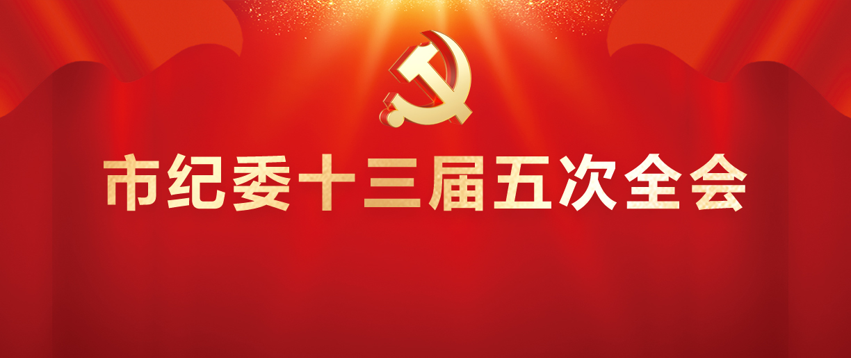 市纪委十三届五次全会